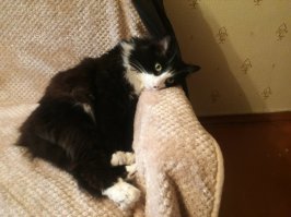 Кузенька взгустнул