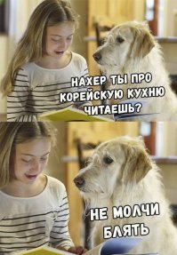 Прикольные и смешные картинки