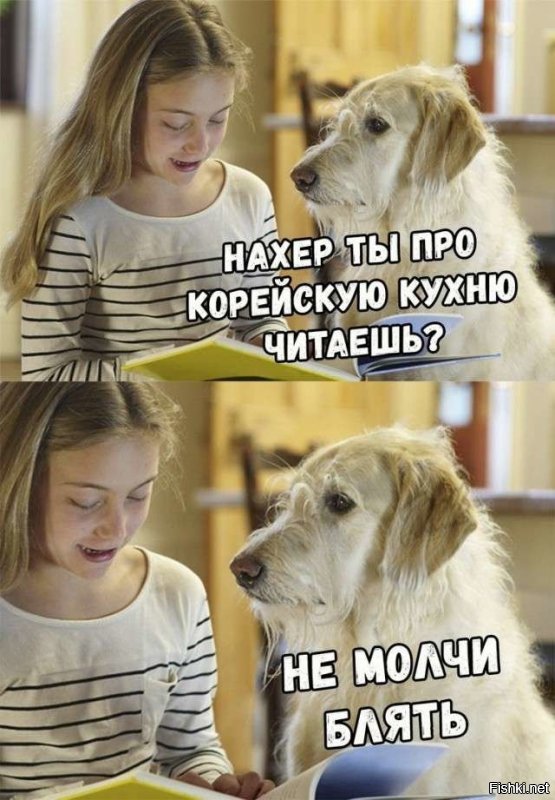 Прикольные и смешные картинки