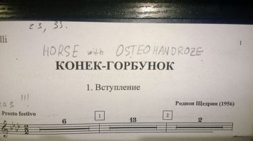 Такое возможно только в России