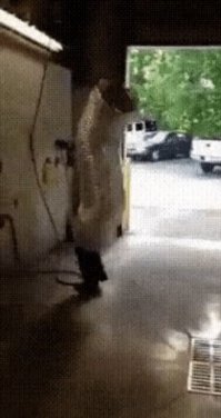 Вот уж точно - прикинулся шлангом!;)