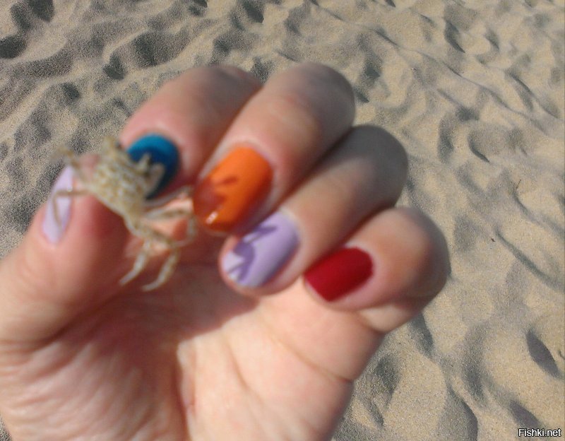 Я таких крабиков ловила и так же отпускала,они быстро бегают,но не с такой скоростью