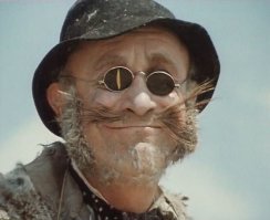 У кота Базилио в очках была вертикальная прозрачная полоска что бы лучше видеть