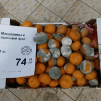 Как выбрать идеальные новогодние мандарины?