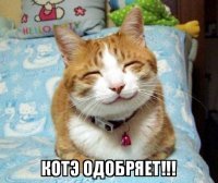 Мурчалки