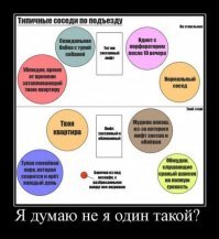 Новостройки в Братске превратились в помойки за год