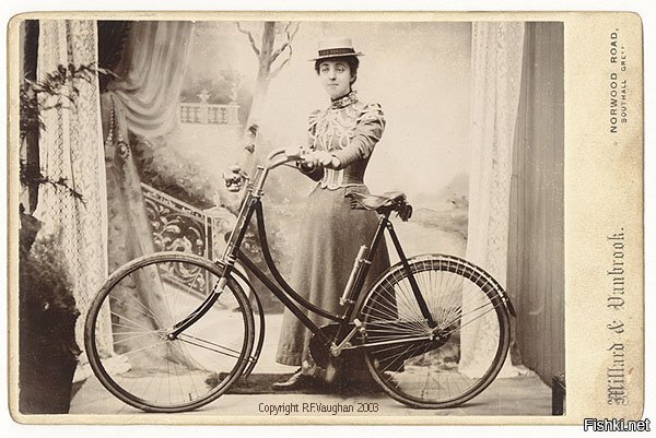 "Идиот" не знал историю???