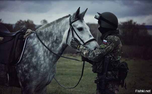 Солянка от 01.12.2018