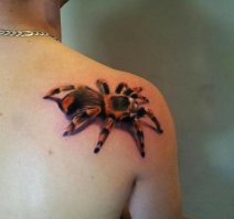 Арахнофобия? Тогда эти вещи  не для вас!