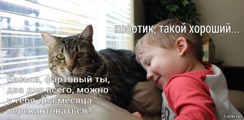 Солянка от 01.12.2018