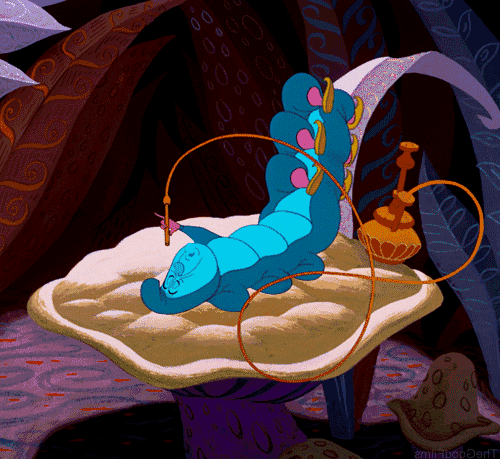 Кто в кальянах понимает