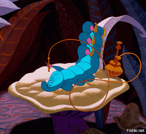 Кто в кальянах понимает