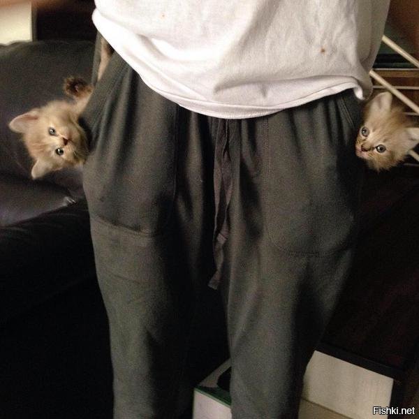 Солянка от 02.12.2018