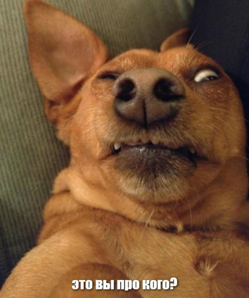 Солянка от 02.12.2018