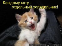 Картинки с надписями