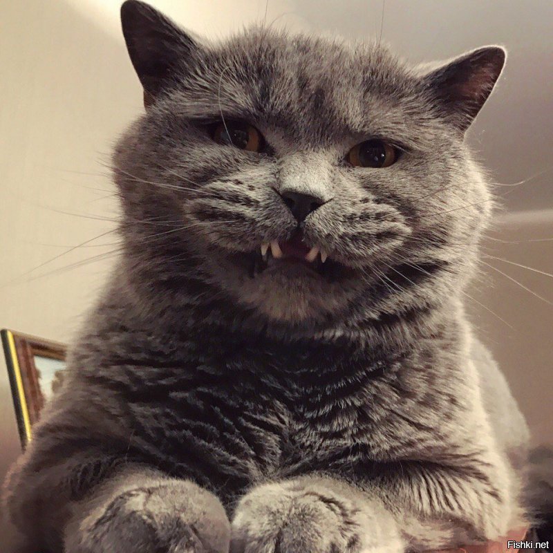 и когда немного недоволен