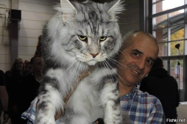 Ну, пни меня...