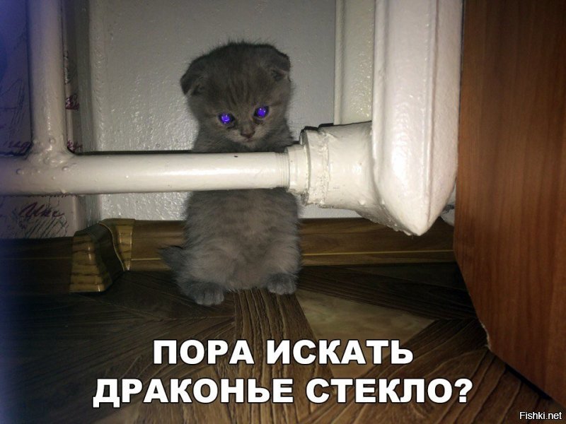 И до весны отсюда выходить не собираюсь