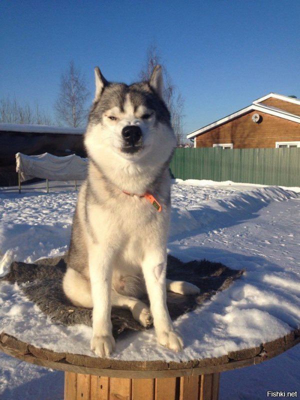 от тебя плохо пахнет, ушлепок

не пиши ничего под моими словами больше никогда