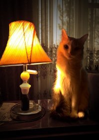 В минуте от катастрофы: двойная посадка "Боинга-777"