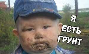 Прикольные и смешные картинки