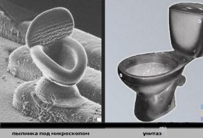Моя любимая картинка на эту тему
