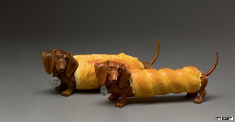 СОБАКА ПОМОГАКА