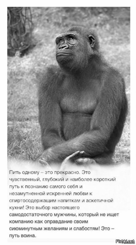 Солянка от 02.12.2018