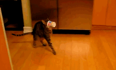 - Видимость нулевая