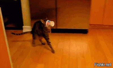 - Видимость нулевая