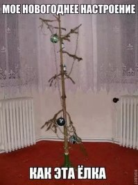 Прикольные и смешные картинки