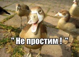 Прикольные и смешные картинки