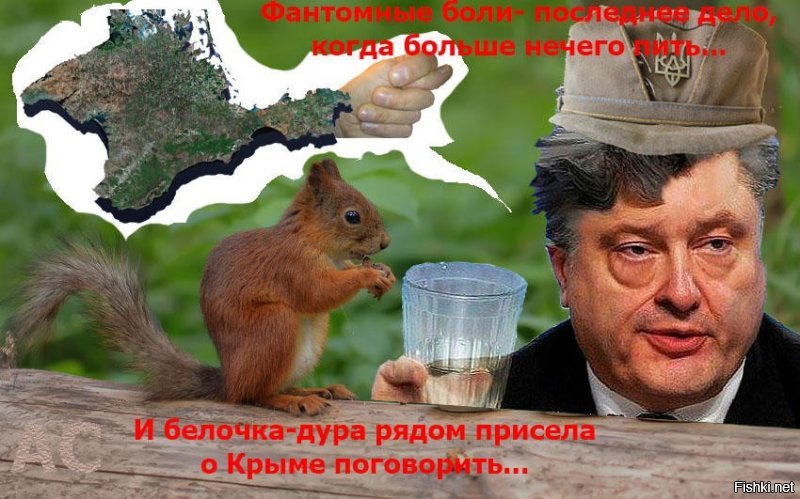 Мнения пользователей Сети о Порошенко  «Он захватил две по 0,7 и продолжает удерживать»