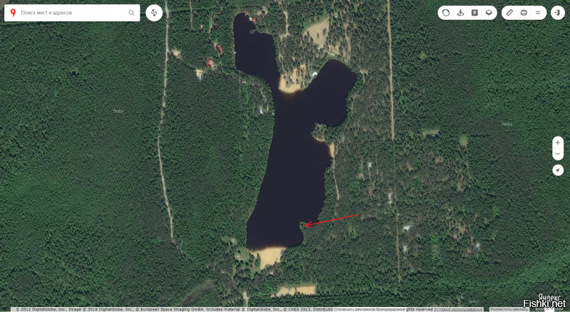 Санкт-Петербургская область, озеро Коркинское.