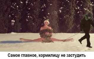 Прикольные и смешные картинки