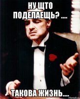 Прикольные и смешные картинки