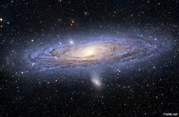 Туманность Андромелы