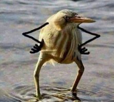 Так блэт,что в сейфе под ковром!!!