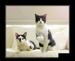 Свежая подборка демотиваторов, которые поднимут вам настроение