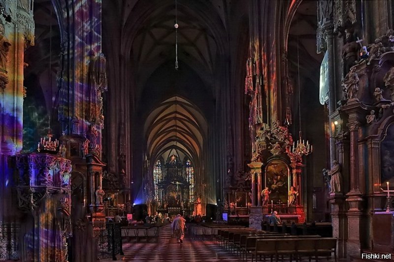 Даже в Венский собор может не войти!