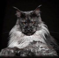 Свежая подборка демотиваторов, которые поднимут вам настроение