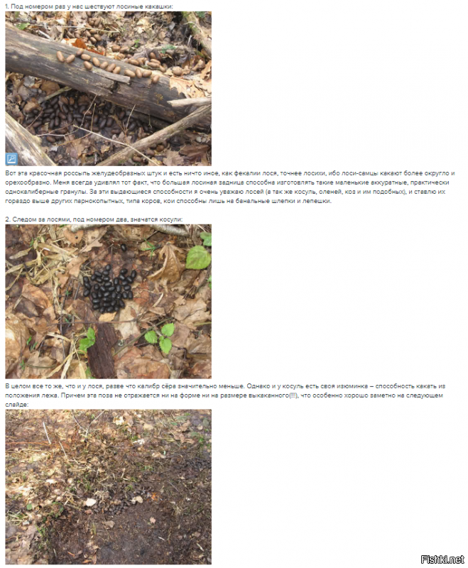 Если поднимать закакательную тему, то в красках!!!