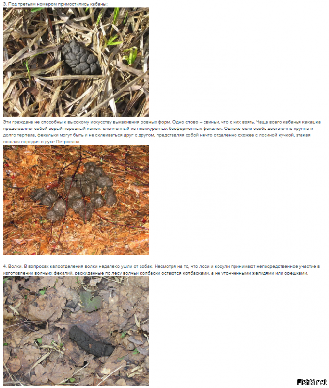 Если поднимать закакательную тему, то в красках!!!