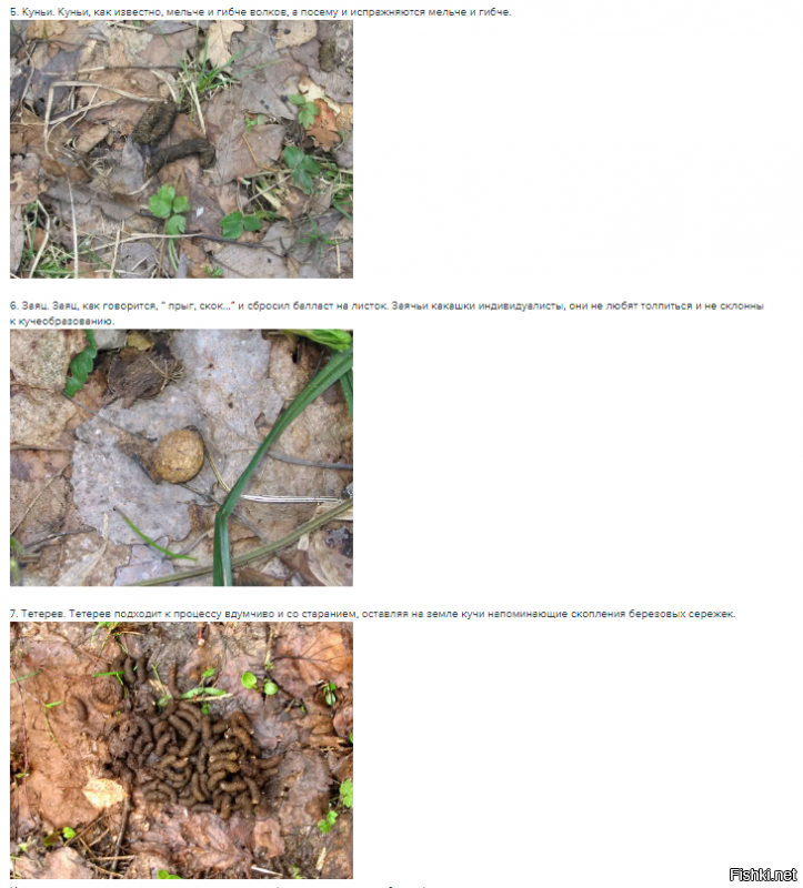 Если поднимать закакательную тему, то в красках!!!