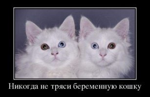 Свежая подборка демотиваторов, которые поднимут вам настроение