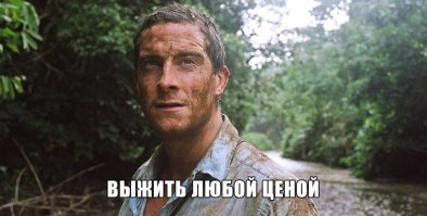 А оно вам надо? Обитатели каменных джунглей...