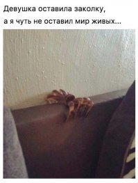 С пауком вспомнилось: