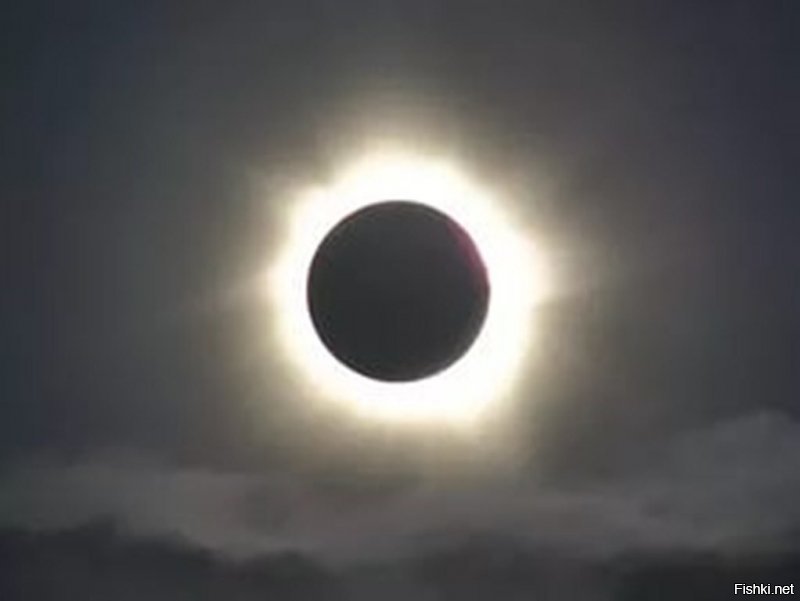 Более половины россиян считают высадку американцев на Луну фейком