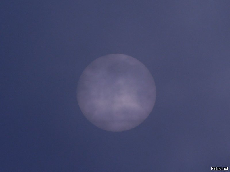 Утро 3 декабря в Краснодаре