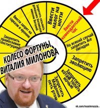 Будни Госдумы: на повестке дня мужская потенция, коты и елки